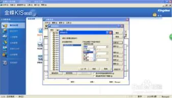 金蝶标准版怎么查核算项目明细 | 金蝶kis标准版如何查询上一年度的明细账