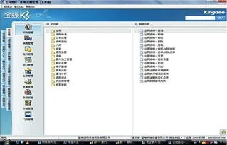 高埗金蝶k3系统价格 | 财务软件金