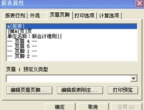 金蝶专业版利润表表头设置