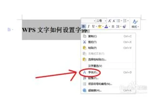 wps文档如何添加字体颜色