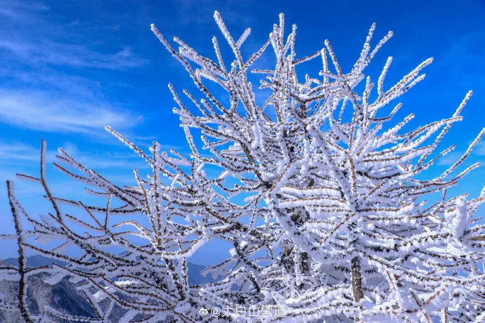 秦岭太白山雪后雾凇美景画面曝光 网友唯美似童话世界