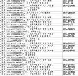 wps表格如何核对银行卡号