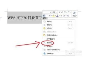 wps文档中如何设置字体