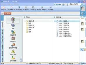 金蝶旗舰版离线登录,金蝶旗舰版使用教程,金蝶kis旗舰版