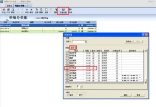 金蝶专业版明细账对方科目