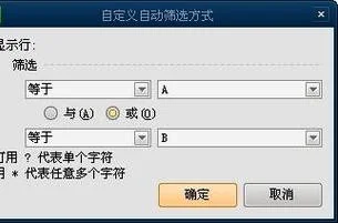 如何用wps筛选两项