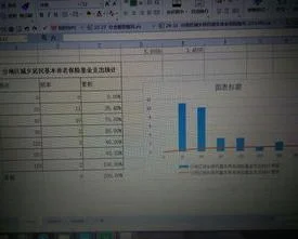 如何使用wps制作直方图