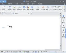 wps公式编辑器如何使用中文