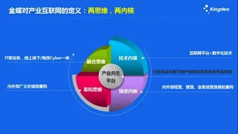 金蝶数字变小,金蝶凭证录入数字变小,金蝶数字怎么变红色