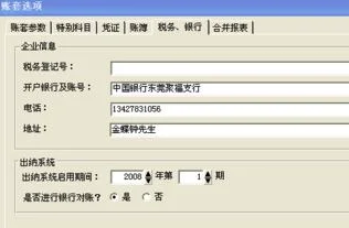 金蝶启用财务系统结束初始化会怎样,金蝶如何启用财务系统,金蝶系统参数设置