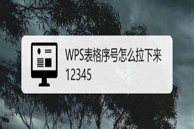 Wps如何排12345的序号