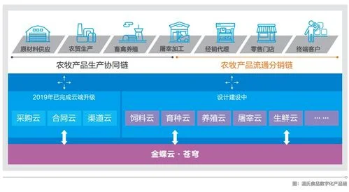 金蝶云无法下推工序汇报