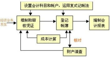 搭建,金蝶,会计核算,体系