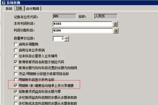 金蝶总账系统参数详细含义