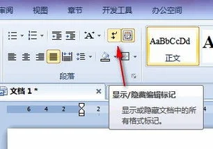 wps如何显示分栏符