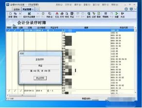 专业版,凭证,金蝶,打印