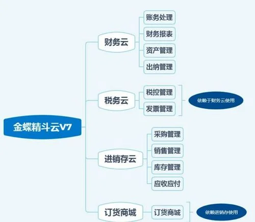 金蝶精斗云审核