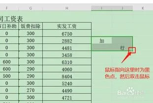 WPS表格隔行输入,Wps表格如何添加选项,Wps表格如何筛选