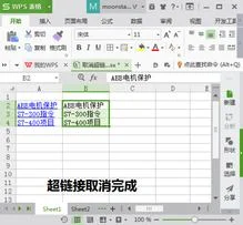 表格,文字,WPS